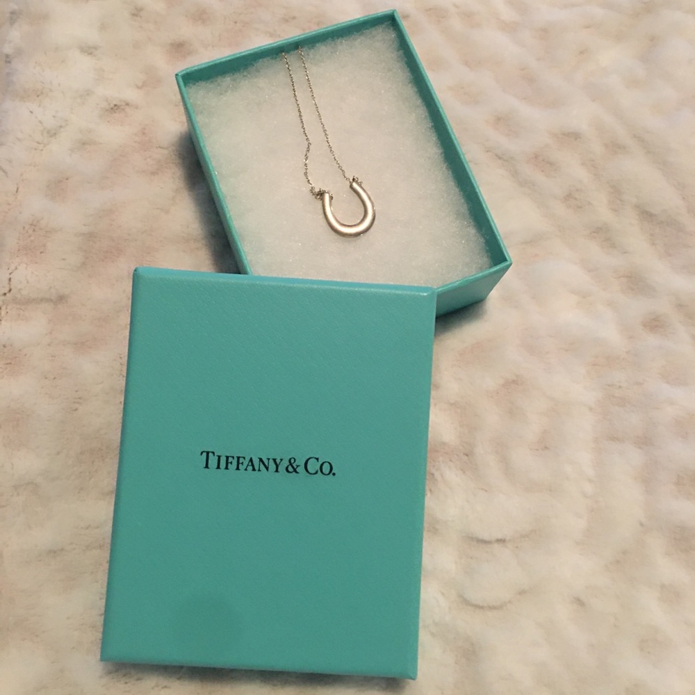 Tiffany & Co. Sterling Silver Horseshoe Necklace